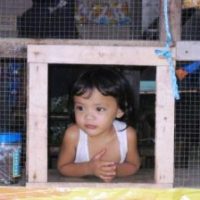 Wednesday – 19 Jan 2011