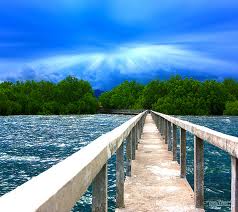 Dumaguete City - Walk way bridge
