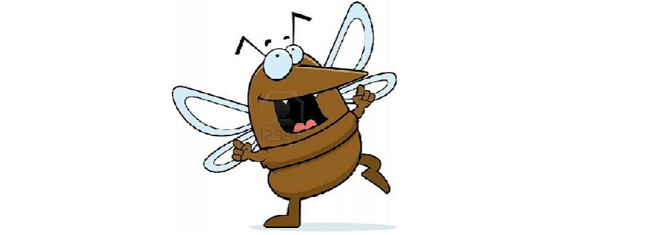 Day 2 – Mosquitoes Singing & Drinking at the Party