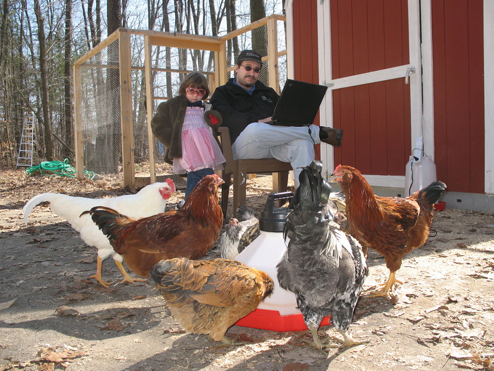 Resetting Chicken, No Teching