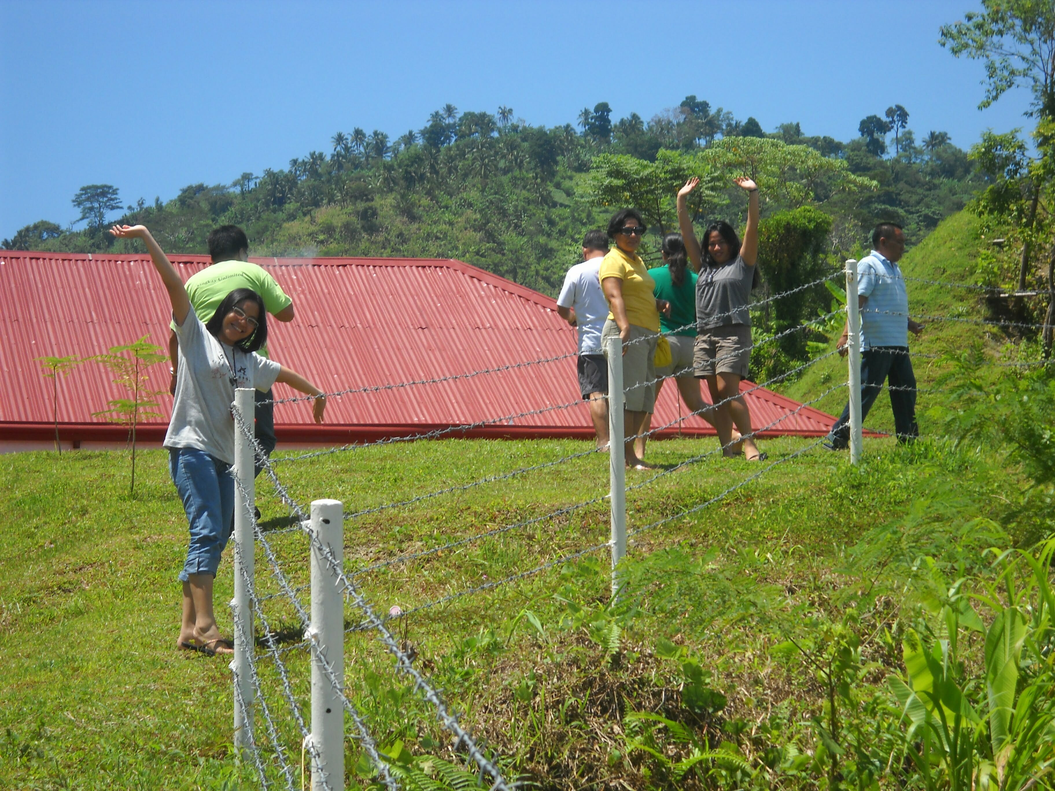 Some of the Apilados