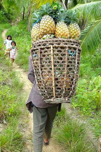 Pineapples, Caves and Angel Wings