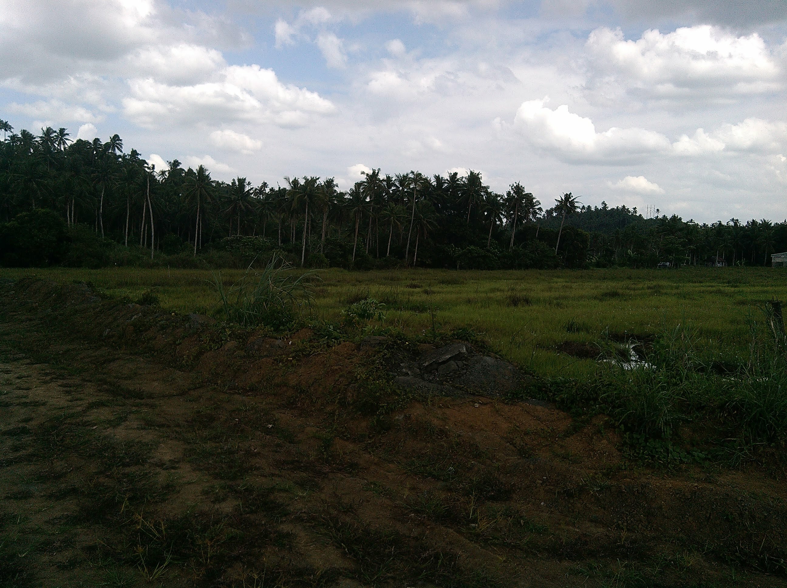 Property in Calbayog