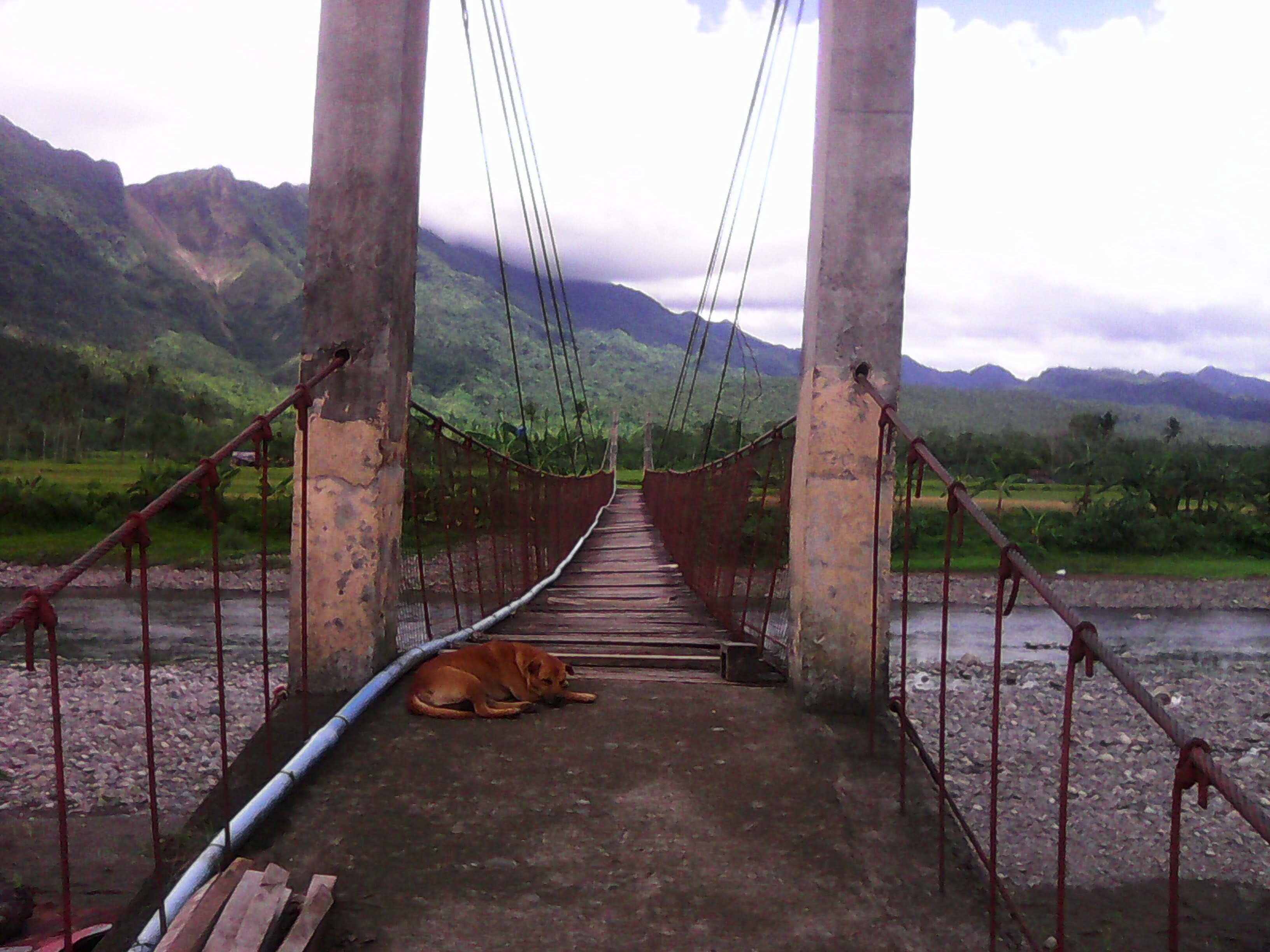 Zine #78 – Southern Leyte